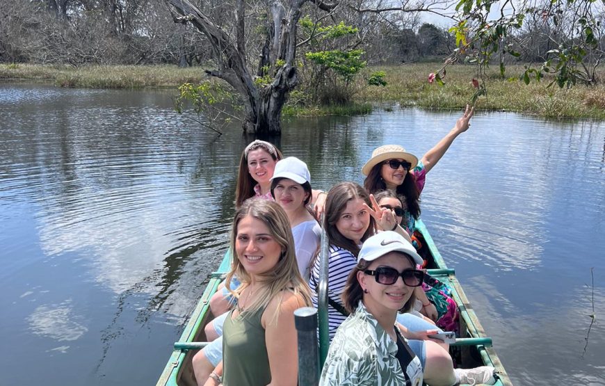 Mangrove Tour