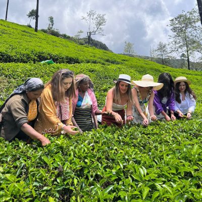 Nuwara Eliya