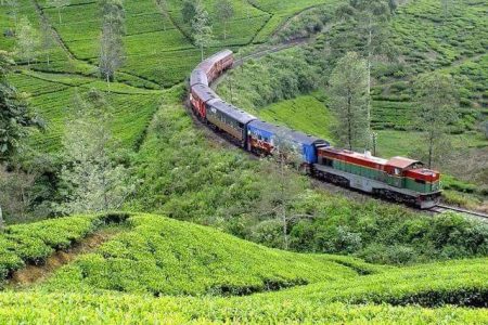 Solo Holidays to Ceylon